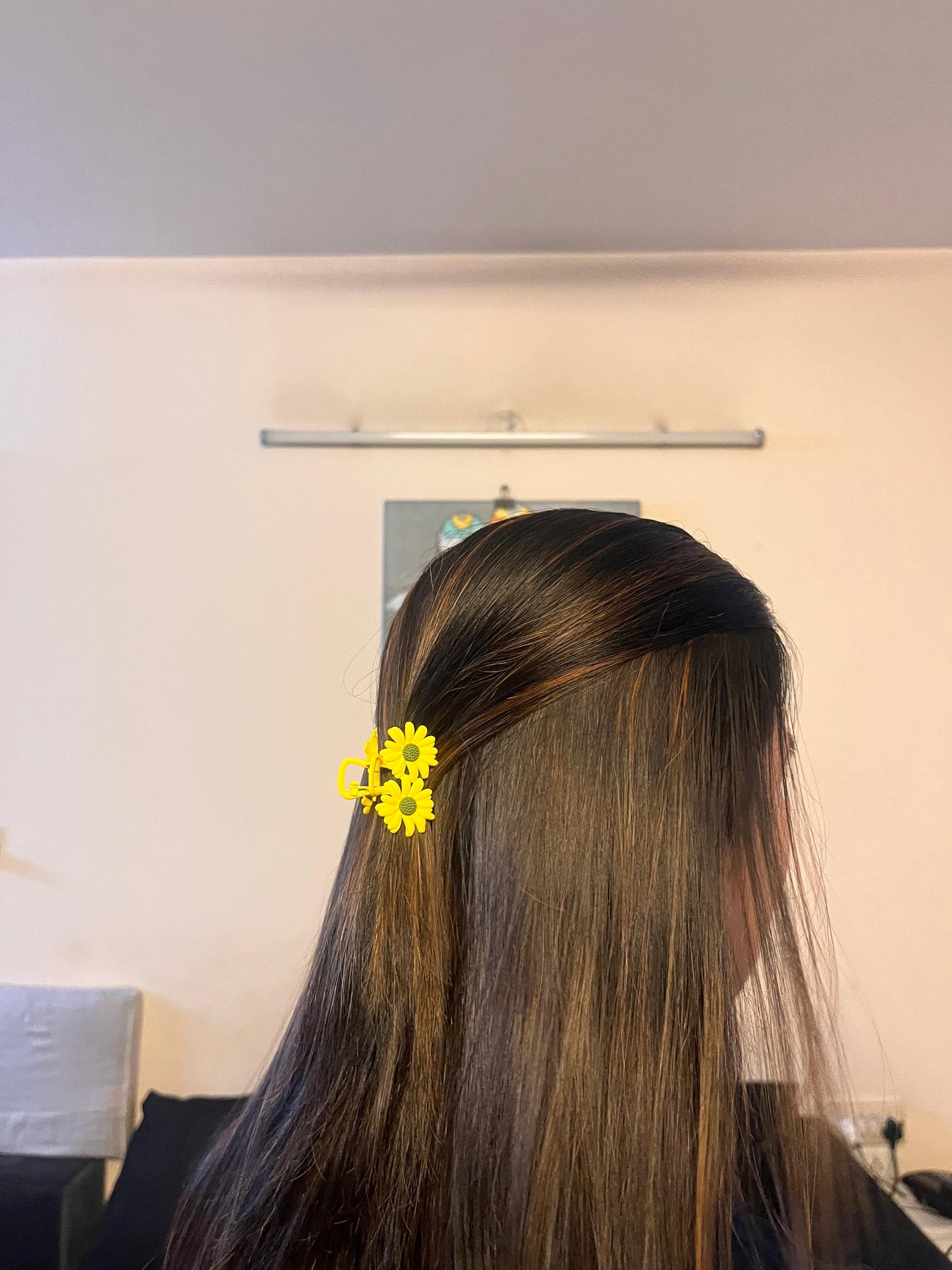 Hair Clutch Premium Quality
