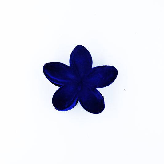 HAIR CLUTCH - TRENDING